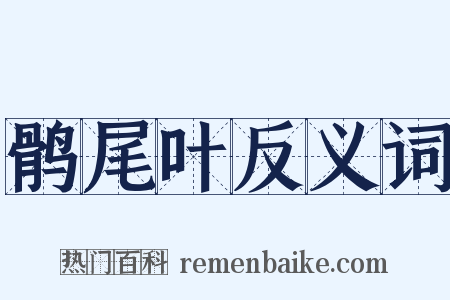 鹘尾叶反义词是什么意思的图片